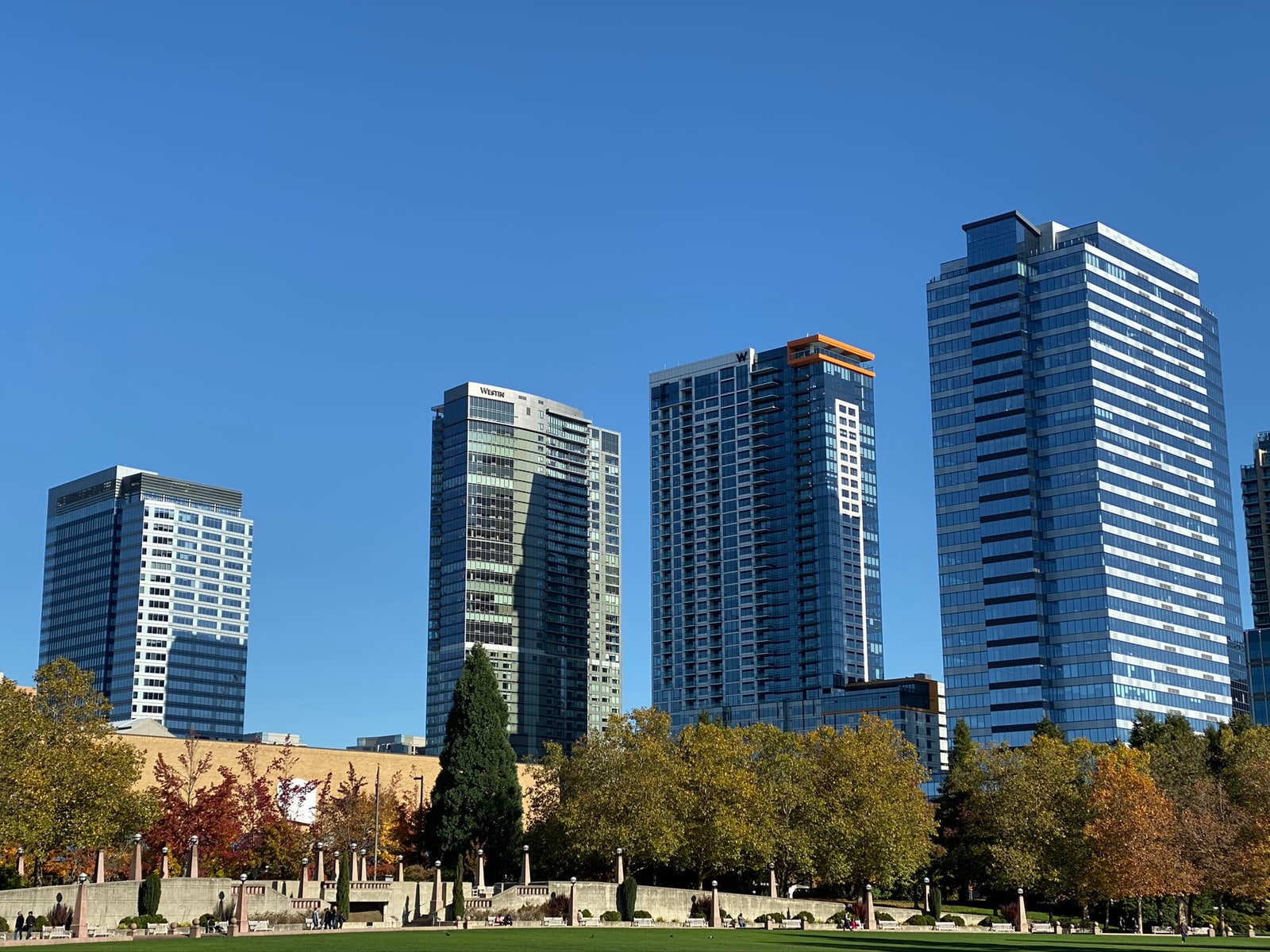 Downtown Bellevue towers above Downtown Park